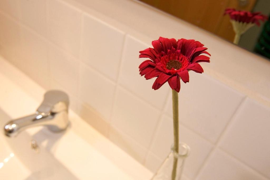 Apartaments Rural Montseny Gualba de Dalt Dış mekan fotoğraf