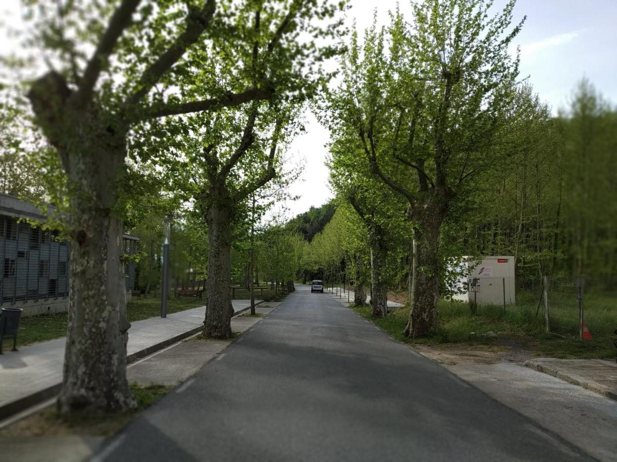 Apartaments Rural Montseny Gualba de Dalt Dış mekan fotoğraf
