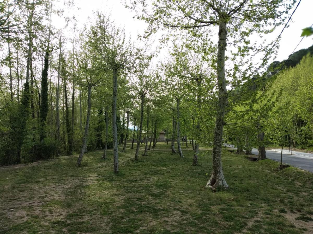 Apartaments Rural Montseny Gualba de Dalt Dış mekan fotoğraf